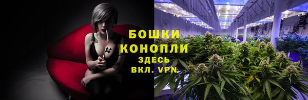 apvp Вязники