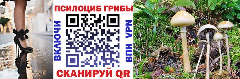 Галлюциногенные грибы Magic Shrooms  наркошоп  Петровск-Забайкальский 